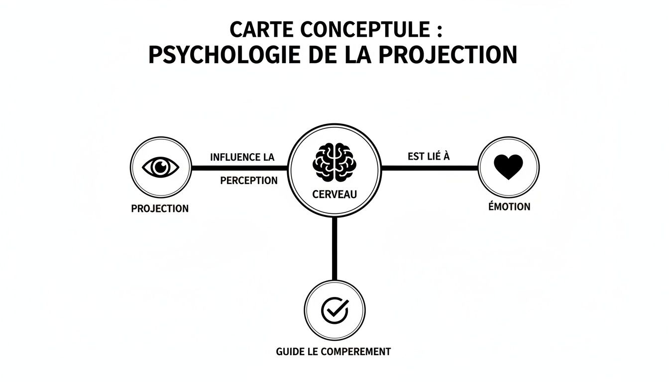 Carte conceptuelle sur la psychologie de la projection montrant les liens entre cerveau, perception, émotion et comportement.