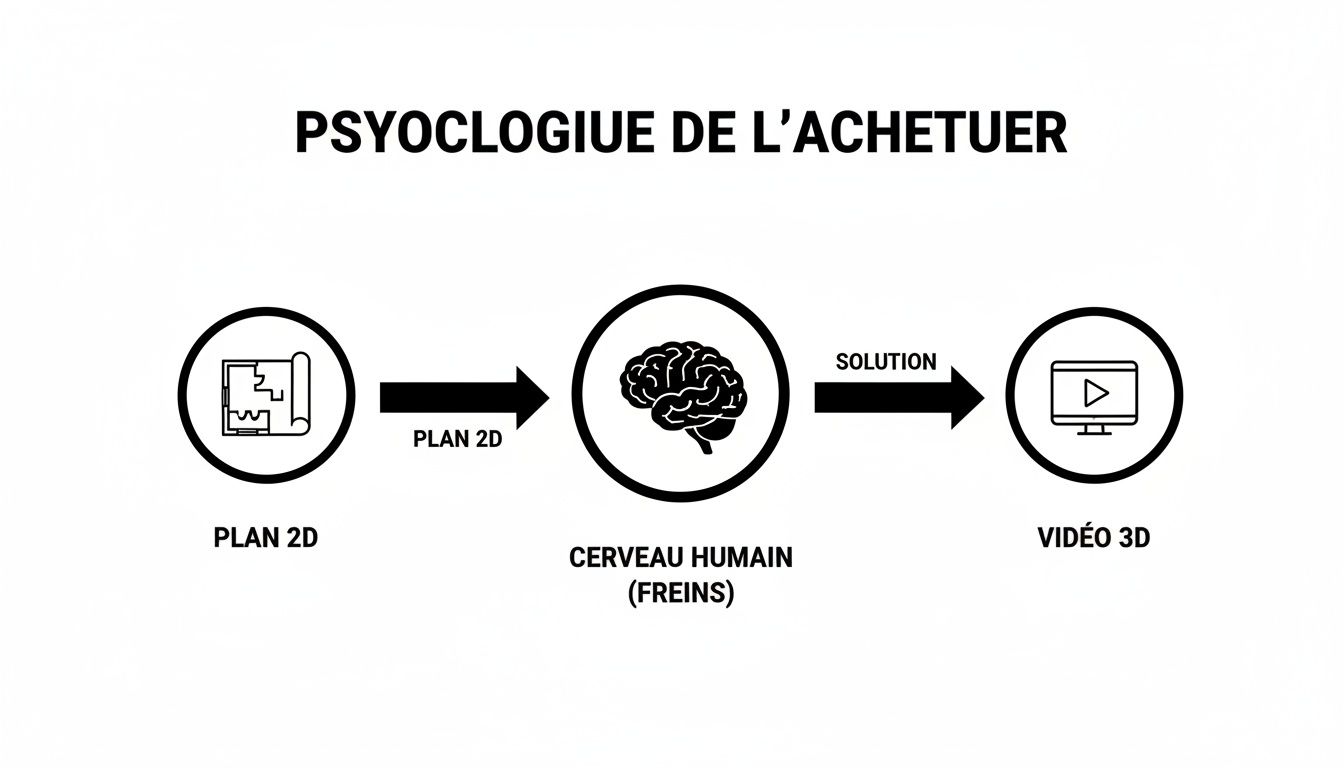 Diagramme de la psychologie de l'acheteur, illustrant le passage du plan 2D au cerveau humain et la solution de vidéo 3D.