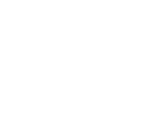 BDL-promotion-logo